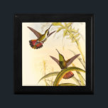 Två färgade Hummingbird som eftersträvar samma blo Minnesask<br><div class="desc">Konstnären John Gould var passionerad över fåglar. I färgaden teckning representeras de två hummingfåglarna och blomman på ett utmärkt sätt. Detaljerna i den här färgstarka bran kommer att glädja älskare.</div>