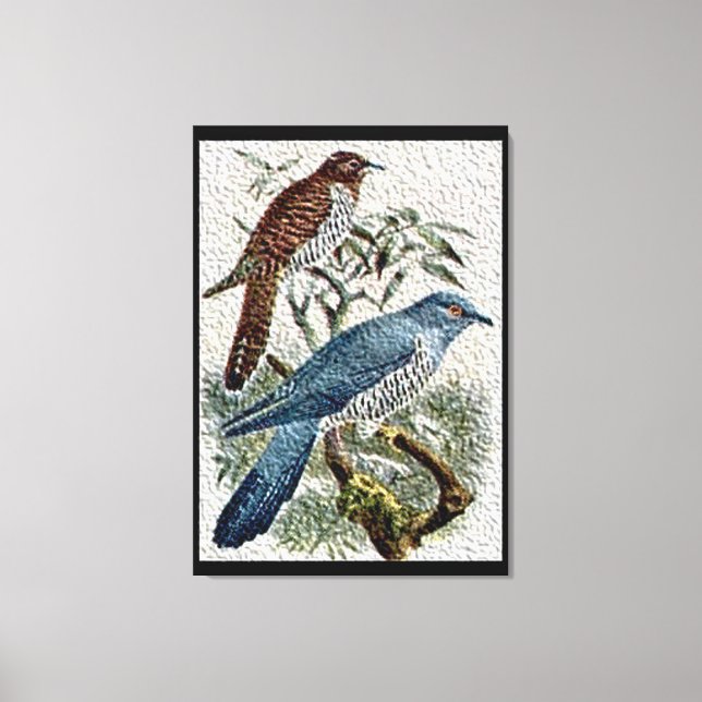 Två Färgader Cuckoo-fåglar i texturerat Kanvastryc Canvastryck (Framsida)