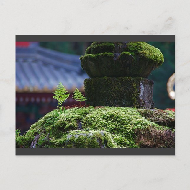 Två Fern Vykort (Framsida)