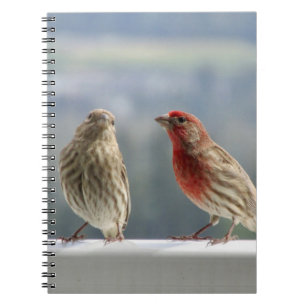 Två Finches Vänder. Anteckningsbok