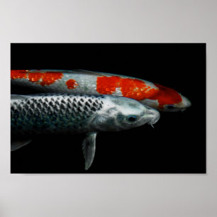 Två fiskar poster