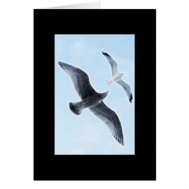 Två fiskmåsar hälsningskort (Framsidan)