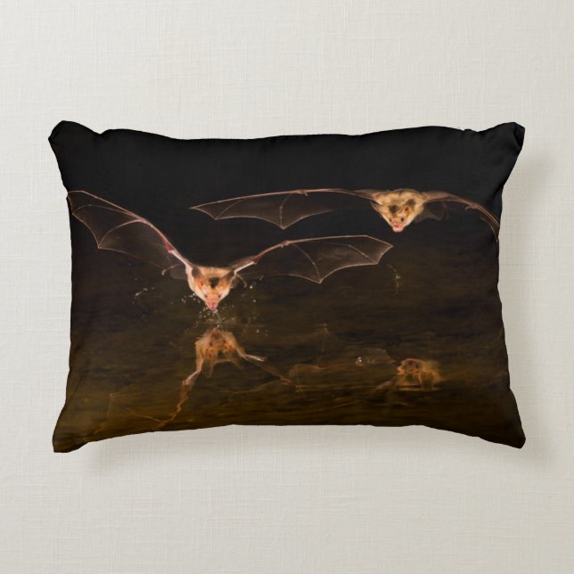 Två fladdermöss som flyger över vatten, Arizona Prydnadskudde (Framsidan)