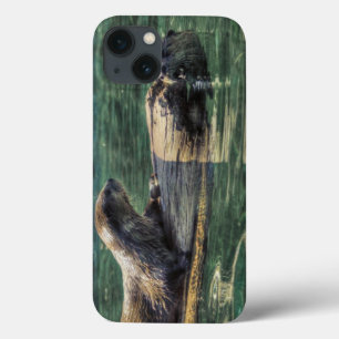 Två floden Otters Wildlife Art Animal-älskare