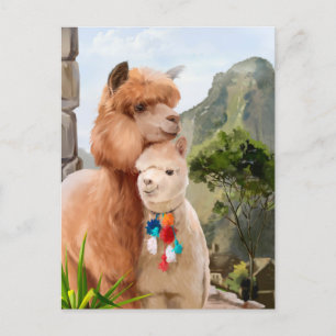 Två fluffy alpacas mot bakgrund av sjö vykort