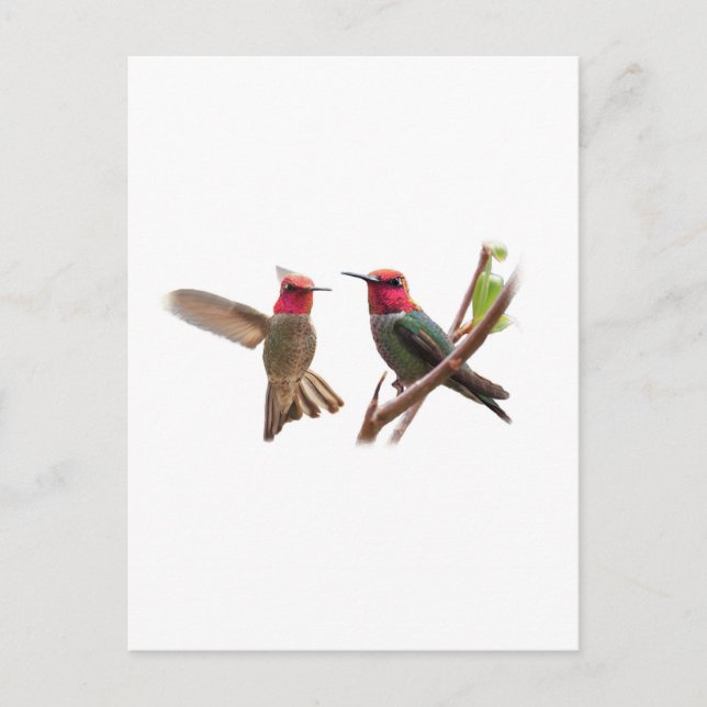 TVÅ FLYING JEWELS VYKORT (Framsida)