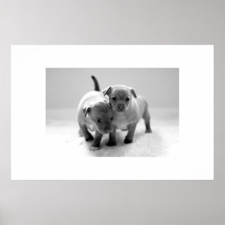 Två för ett poster