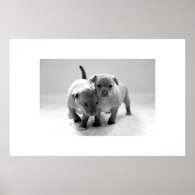 Två för ett poster (Framsidan)