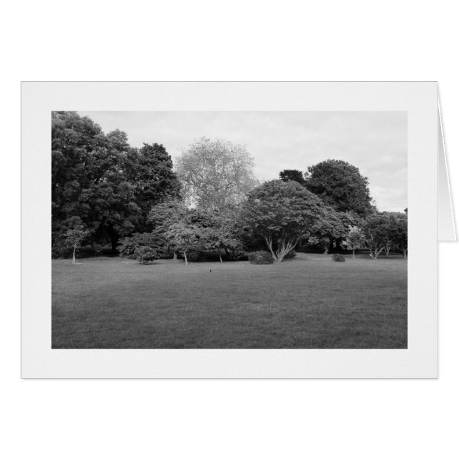 Två för Joy (Borderade) Hälsningskort (Framsidan Horizontal)