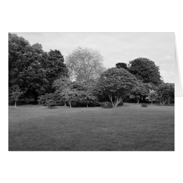 Två för Joy Hälsningskort (Framsidan Horizontal)