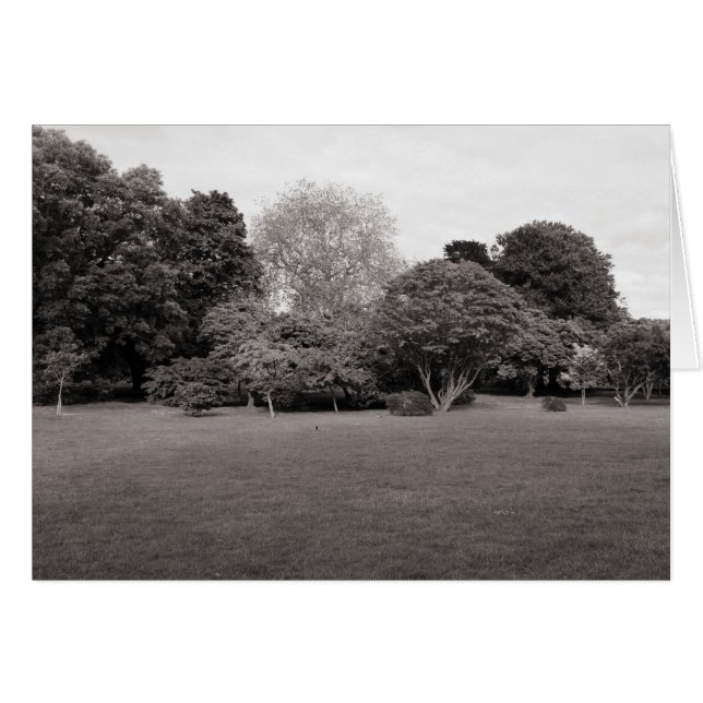 Två för Joy (Varmtad BW) Hälsningskort (Framsidan Horizontal)