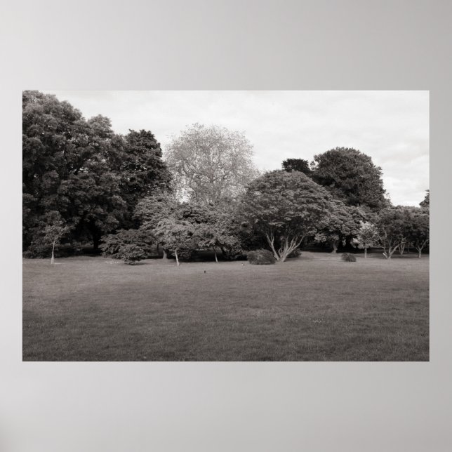 Två för Joy (Varmtad) Poster (Framsidan)