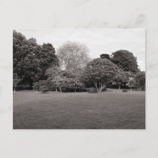 Två för Joy (Warm Toned Black and White) Vykort (Framsida)