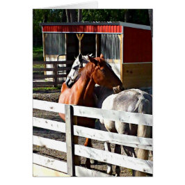 Två förälskade hästar hälsningskort