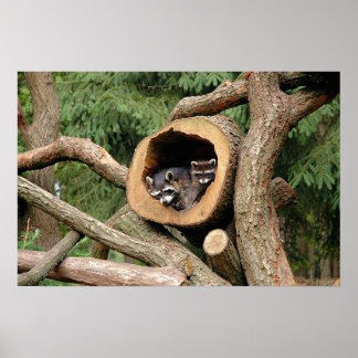 Två företag poster