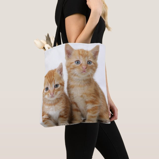 Två förtjusande kattungar tygkasse (Närbild)