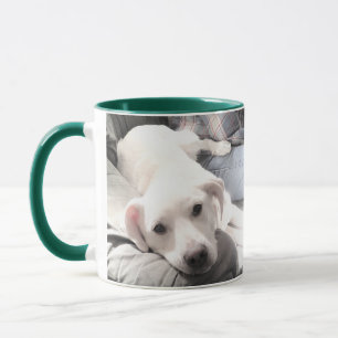 Två foton av Aditable Lazy White Puppy på soffan Mugg