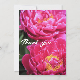 Två Fuchsia Peony Blooms-målning Tack Kort