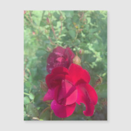 Två gånger som Nicemagnet Ro