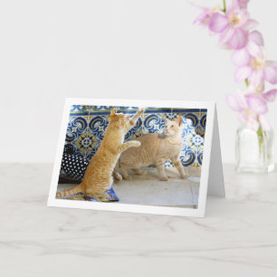Två Ginger Cats spelar Kort