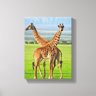 Två giraff canvastryck