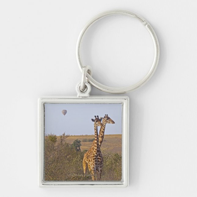 Två giraff (Giraffacamelopardalis), Masai Fyrkantig Silverfärgad Nyckelring (Framsidan)