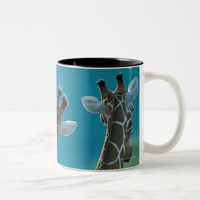 Två giraff (Giraffacamelopardalis) Två-Tonad Mugg (Höger)