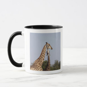 Två giraff, Kruger nationalpark, Sydafrika Mugg