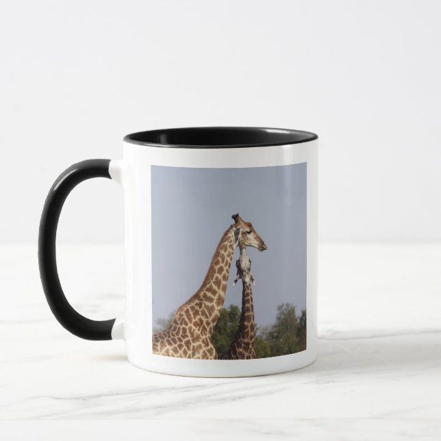 Två giraff, Kruger nationalpark, Sydafrika Mugg (Vänster)