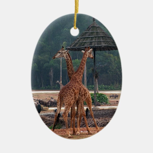 Två giraffer som tröstar varandra i en djurpark julgransprydnad keramik (Framsidan)