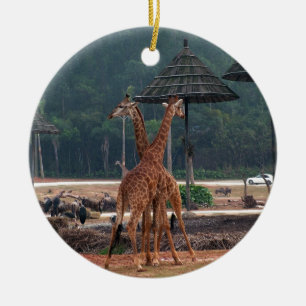 Två giraffer som tröstar varandra i en djurpark julgransprydnad keramik