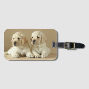 Två Golden Labrador-valpar Bagagebricka