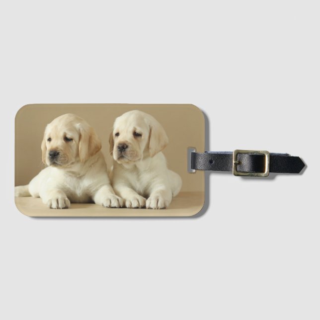 Två Golden Labrador-valpar Bagagebricka (Framsida horisontal)