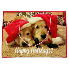 Två Golden Retriever Hundar i jultomten