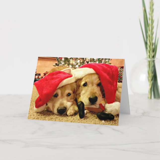 Två Golden Retriever Hundar i jultomten jul Helgkort (Framsida)