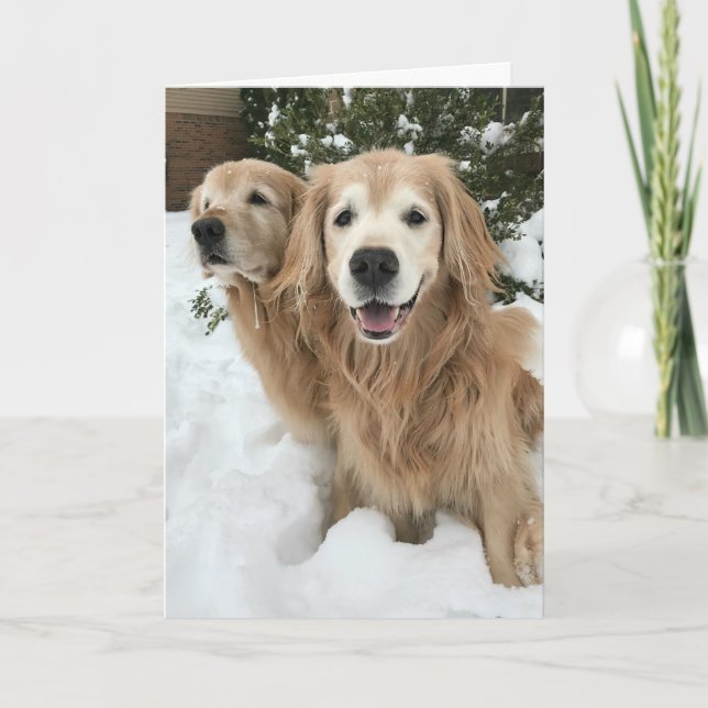 Två Golden Retriever Hundar i Snö-Lycklig-vinter Kort (Framsida)