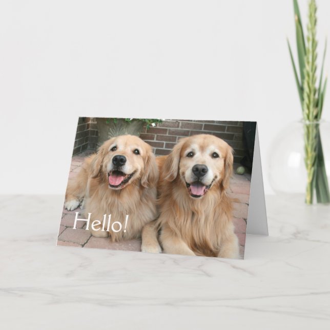 Två Golden Retriever Hundar utanför tankarna på di Kort (Framsida)