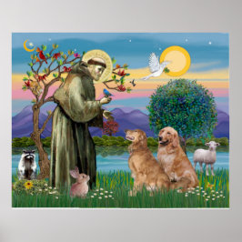 Två Golden Retrievers Poster