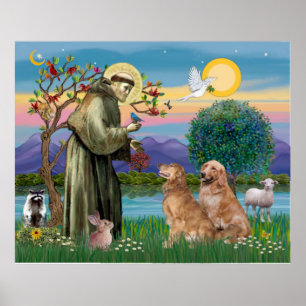 Två Golden Retrievers Poster