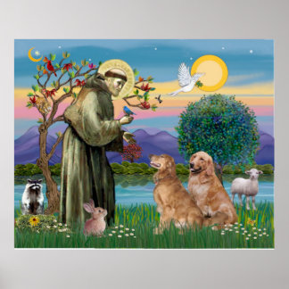 Två Golden Retrievers Poster
