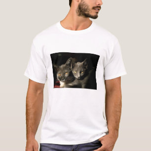 Två Grått Cats Manar Basic T-Shirt