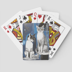 Två Grått Cats på Abstraktens bakgrund Casinokort