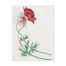 Två grenar med en blomma - Michiel van Huysum.