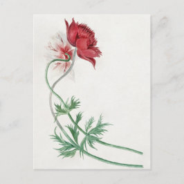 Två grenar med en blomma - Michiel van Huysum.  Vykort