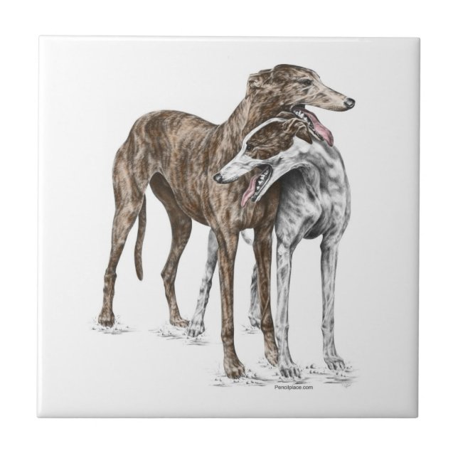 Två Greyhound Friends Hund Art Kakelplatta (Framsidan)