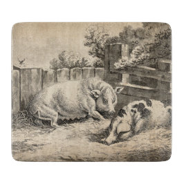 Två Grisar Ljugande i Rita i en utomhuspenna