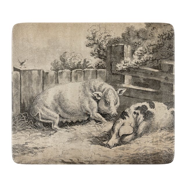 Två Grisar Ljugande i Rita i en utomhuspenna (Framsidan)