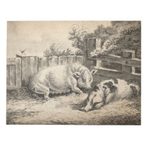 Två Grisar Ljugande i Rita i en utomhuspenna