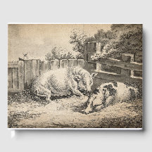 Två Grisar Ljugande i Rita i en utomhuspenna