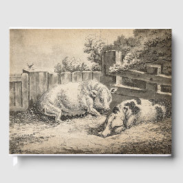 Två Grisar Ljugande i Rita i en utomhuspenna Gästböcker